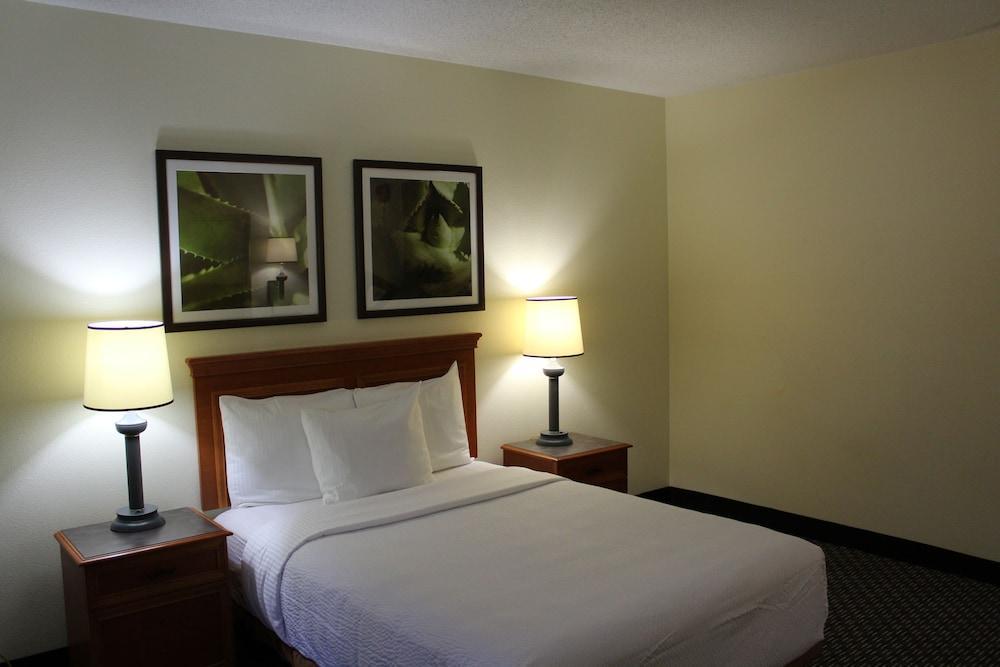 La Quinta By Wyndham Tampa Brandon West Hotel Ngoại thất bức ảnh