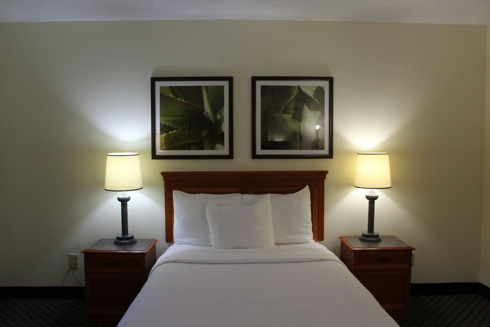 La Quinta By Wyndham Tampa Brandon West Hotel Ngoại thất bức ảnh